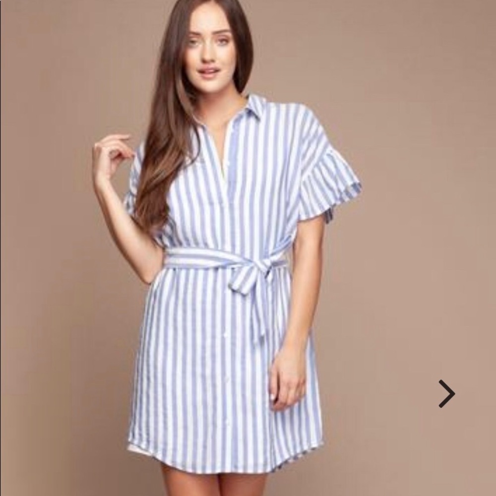 LAST ONE Naked Zebra Celsius Blue Striped Dress